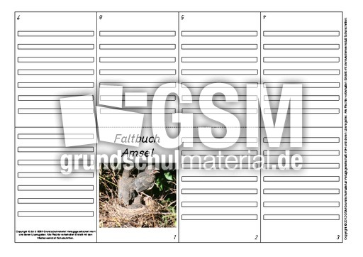 Faltbuch-Amsel-L-10.pdf